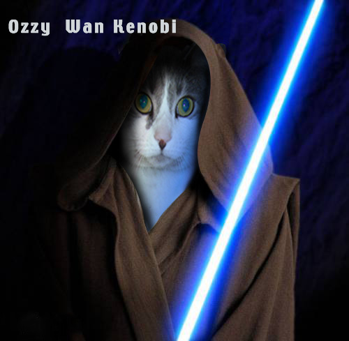 Pug Wars - ozzy-wan-kenobi